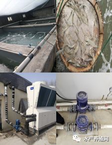 成本節省一半！沈陽海爾中央空調為室內養殖業插上“高利潤”翅膀